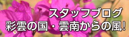 ブログ　彩雲の国　雲南からの風