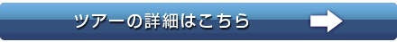 ツアーの詳細はこちら