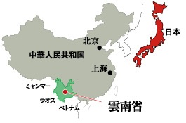 雲南省