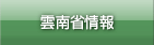 雲南省情報